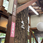 松葉茶屋 - 店内の大木