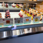 マコトエバラ×モンレアル - ショーケース