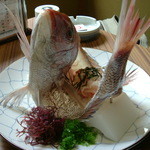 丸水 - 活盛鯛めしの鯛
