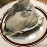 メリケンサカナ - 