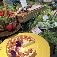 The Kitchen Salvatore Cuomo GINZA - 