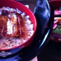 鰻割烹 伊豆栄 本店 - 姫重、3675円