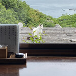 海鮮問屋 - 猫（笑）