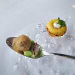 シグネチャー - アミューズのクロメスキとタルトレット