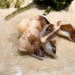 不動前 すし 岩澤 - 