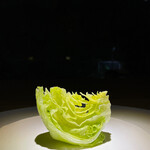 トレイス - レタス