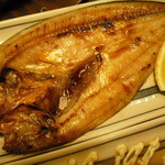 力丸 法善寺横丁 炉ばた焼 水かけ茶屋 - ほっけ