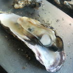 かき焼 かまくら まるふ - 出来上がり