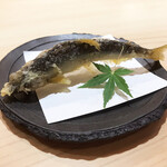 Sushi Toku - 琵琶湖の稚鮎 天ぷら
