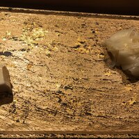 SUSHI TOKYO TEN、 新宿店 - 豆腐湯葉とガリ