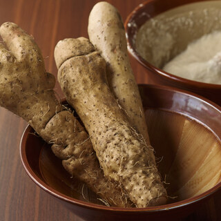 やまといもにかける情熱◆生産者直送で味わう粘りの強さ