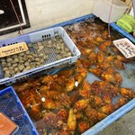 いとう水産 - 