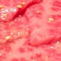 華火 錦店 - 