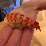 鮨 りんだ - 車エビ