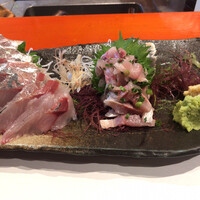 魚竹 - 