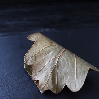 京菓子司 松寿軒_0
