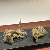 レストラン ラリューム - 