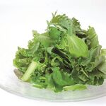 Washoku Baru Otooto - 特別栽培野菜のグリーンサラダ