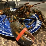 神戸牛 乃木坂 FEU Premium - 