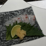 名駅 鉄板焼き 森本Ｘ Premium - 