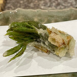 勢麟 - コシアブラ