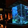 アクアリウムダイニング 新宿ライム
