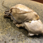 鮨匠 のむら - 厚岸の牡蠣　
      