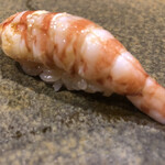 鮨匠 のむら - 車海老