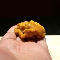 鮨 西崎 - 青森大畑のムラサキウニ