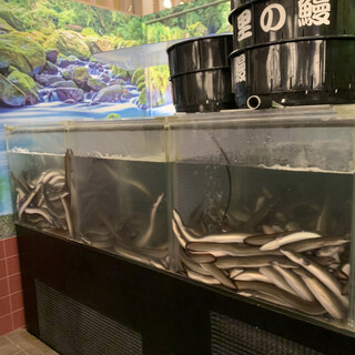 千里うなぎ_2