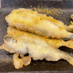 A e B - 湖鮎ボッタルガ