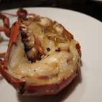 舞桜 - オマール海老アップ