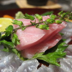 舞桜 - マグロアップ