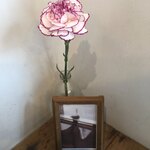 アンバードロップコーヒーロースターズ - 