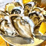 FAST OYSTERS - 