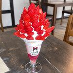 Mochikaeri Parfait Berry