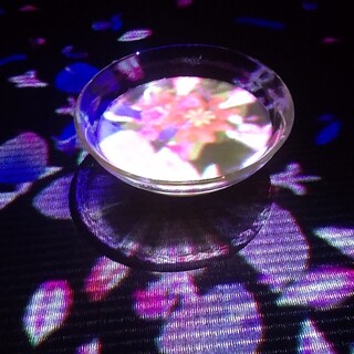 エン ティーハウス_0