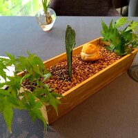 プレヴナンス - 