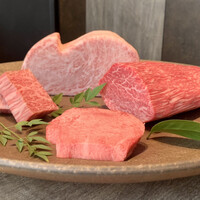 USHIGORO S. SHINJUKU - サーロイン、ハラミ、シャトーブリアン、タン