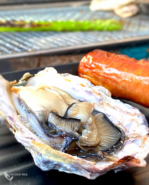 ３日以内に発送します ★ 焼き鳥台★海鮮魚介★牡蠣小屋★掃除よりも買い替え★LP 3日以内に発送します ☆ 焼き鳥台☆海鮮魚介☆牡蠣小屋☆掃除