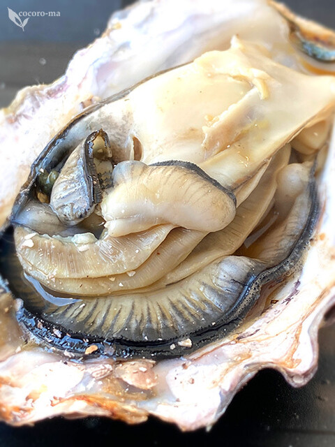３日以内に発送します ★ 焼き鳥台★海鮮魚介★牡蠣小屋★掃除よりも買い替え★LP 3日以内に発送します ☆ 焼き鳥台☆海鮮魚介☆牡蠣小屋