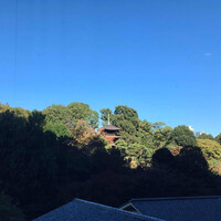 日本料理 みゆき - 