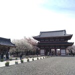 麺家 彩華 - 早起きしてよかった。気持ちいい。