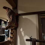 レストラン ウオゼン - 