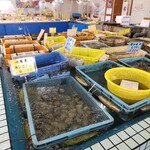 白子漁港直売所 魚魚鈴 - 