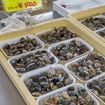 白子漁港直売所 魚魚鈴 - アサリ、でかいです。