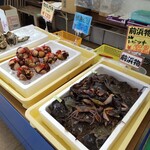 白子漁港直売所 魚魚鈴 - 