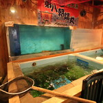 海鮮食堂さかなや - 入口すぐの大きな生簀には新鮮なお魚が泳ぎます