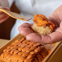 ⭐︎お昼限定・夜と同じネタ⭐︎【握りだけコース】※要予約。金・土・日・祝日のみ