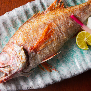 High-quality fish with black throat and ``white fatty tuna.'' The fat is the easiest to feel.